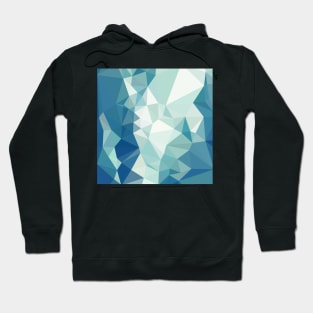 Turquoise Green Abstract Low Polygon Background Hoodie